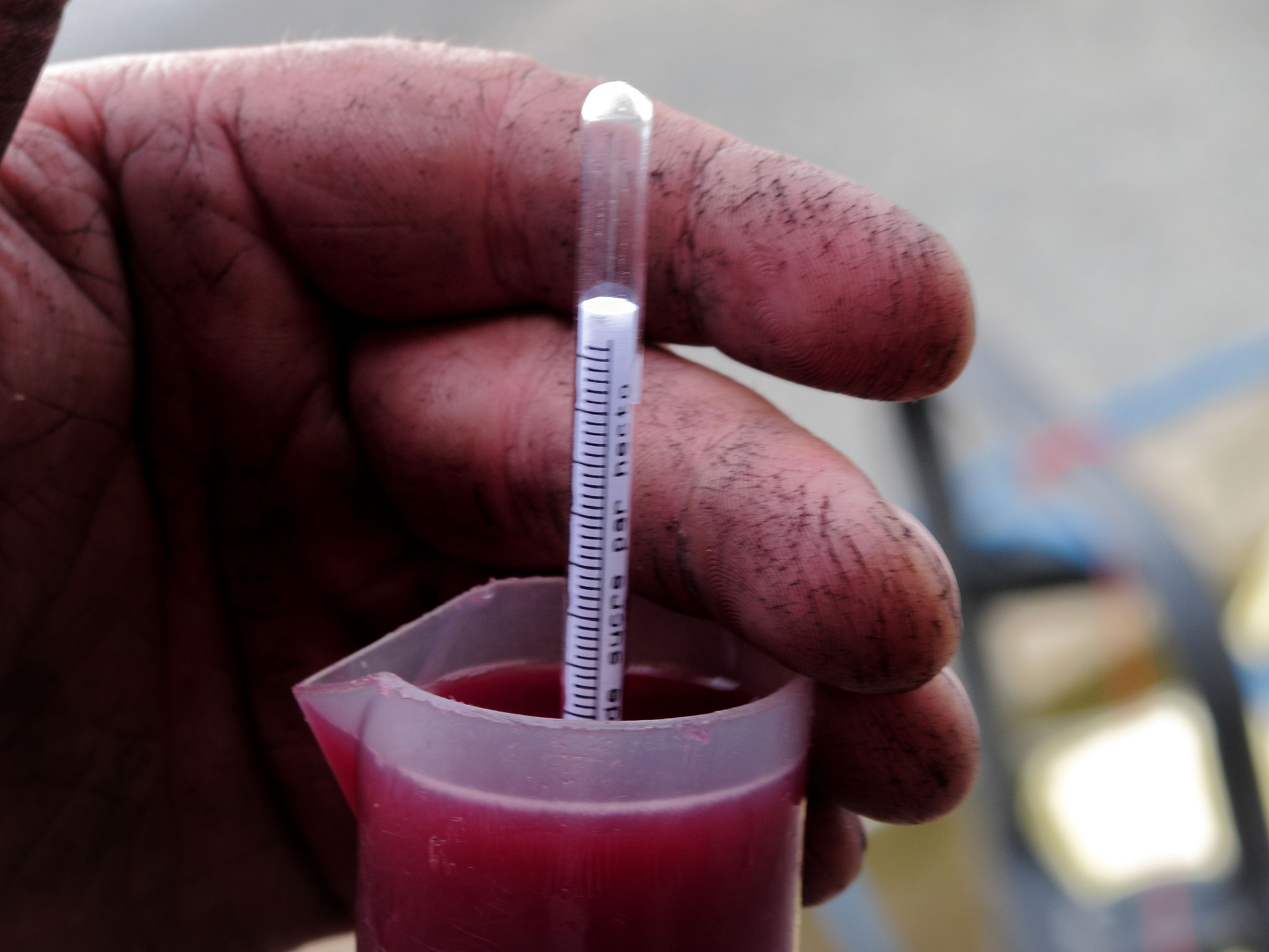 main-experte-du-vigneron