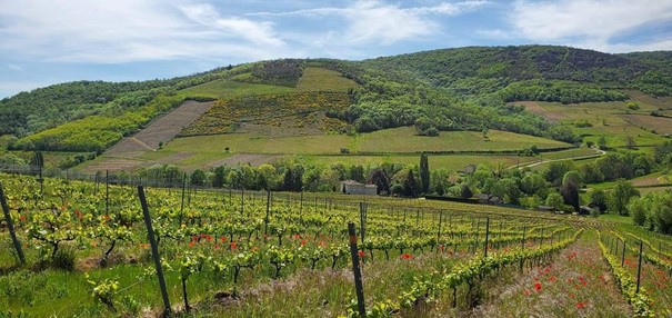 pause-gourmande-en-beaujolais