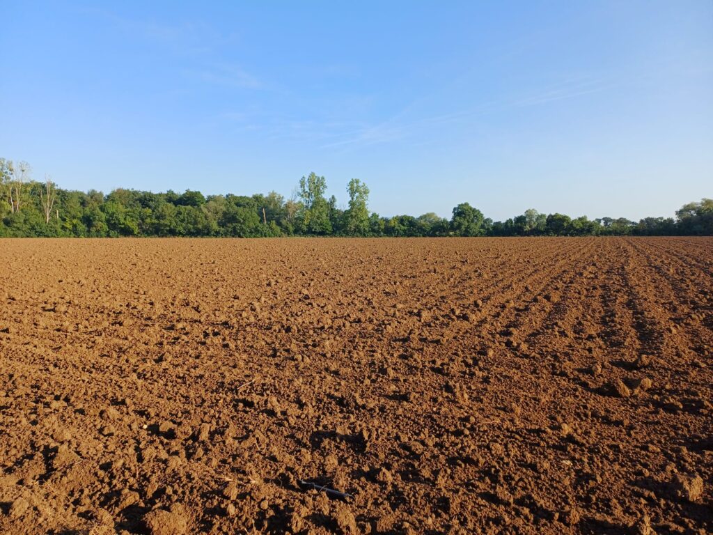 preparation-de-la-grange-du-diable-pour-les-semis-dautomne-min
