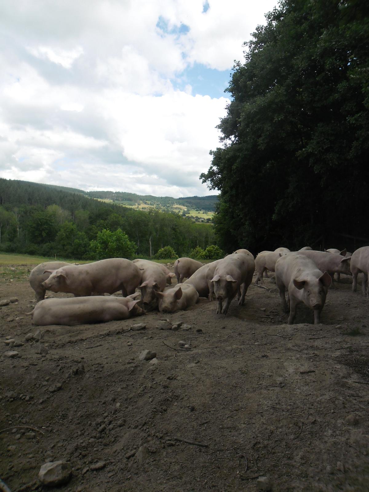 WhatsApp Image 2026-01-20 at 07.12.56 (3)